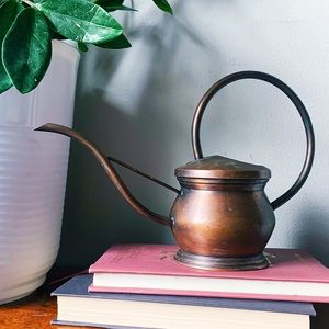 Small Brass Copper Watering Can Plant Decoration